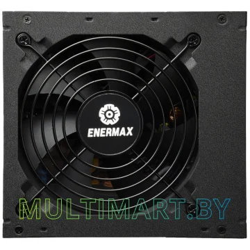 Блок питания Enermax Cyberbron 700W (ECB700EWT) картинка 4